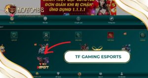 TF Gaming Esports